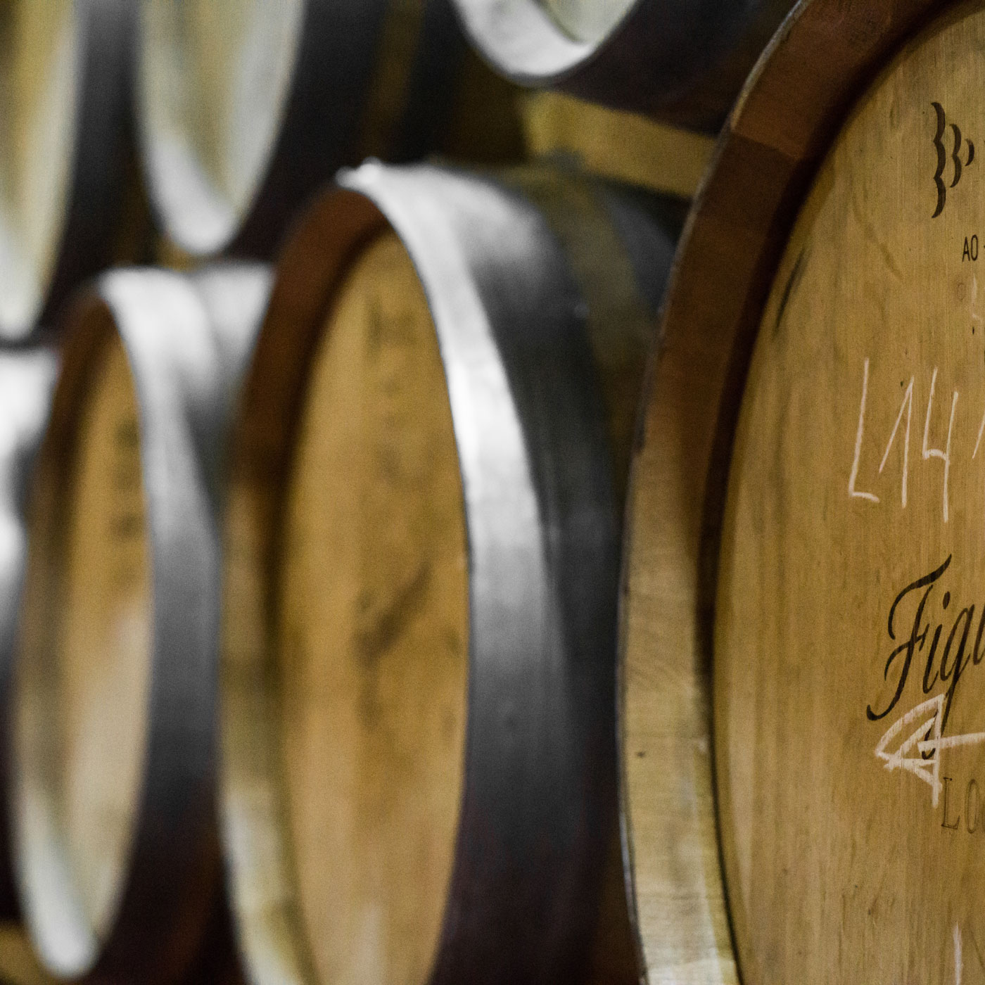Spanischer Wein der Bodega Vega de Tera 